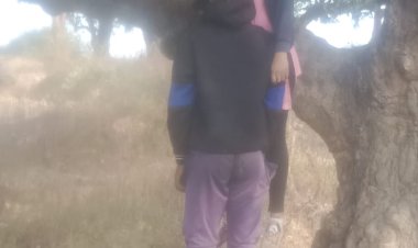 मोहब्बत ने तोड़ा दम: प्रेमी जोड़े ने एक साथ फांसी लगाकर दे दी जान, समाज का सता रहा था डर