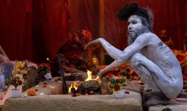 महाकुंभ: नागा साधु बनने की 3 स्टेज, खींची जाती है जननांग की नस, अखाड़े वाले घर जाकर करते हैं पड़ताल