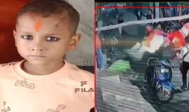 बारात में नाच रही घोड़ी ने बच्चे को मारी लात; मौत के बाद मची चीख-पुकार; देखिए दर्दनाक वीडियो