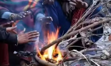 इन संभागों में शीतलहर का अलर्ट, कई जिलों में कड़ाके की ठंड, मौसम विभाग ने बताया कब मिलेगी राहत